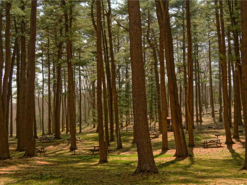 sudoku relaxing gameplay screenshot 5